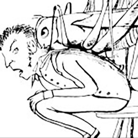 Grasshopper