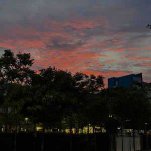 chill sunset