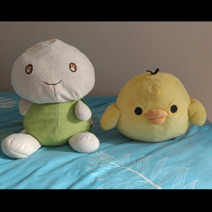 My soft toys