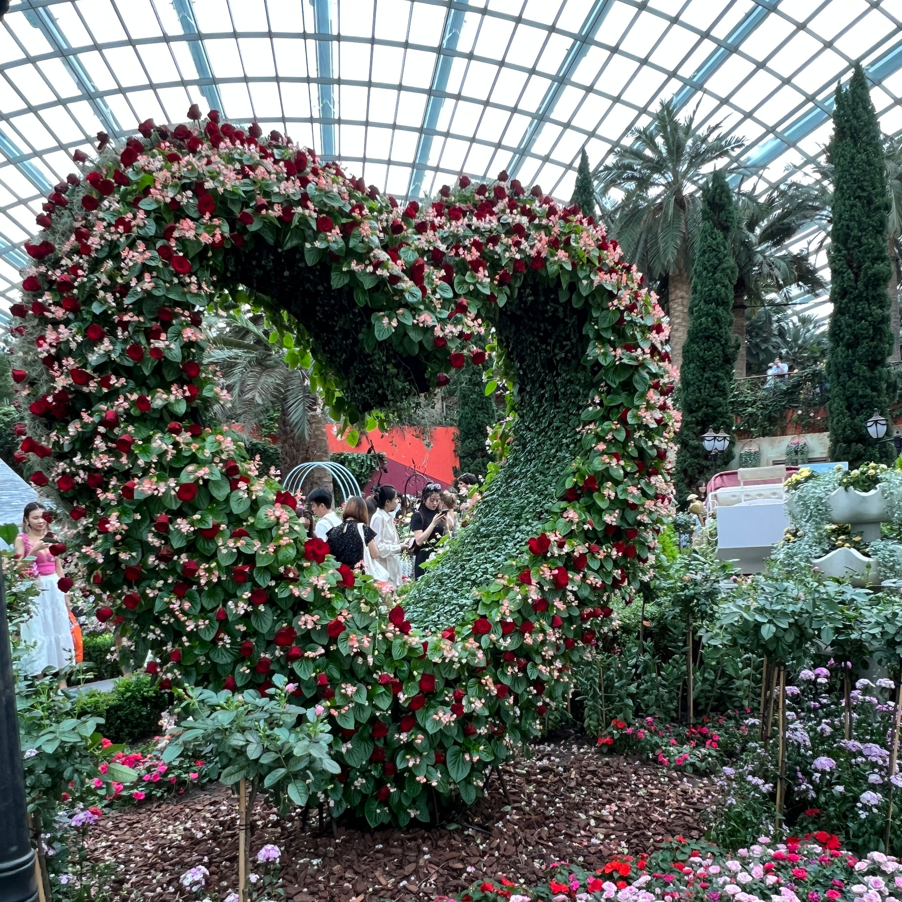 Kindness in Full Bloom