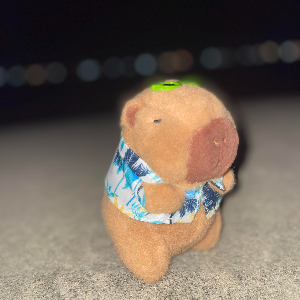 I luv Capybara