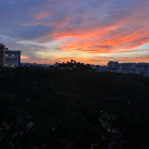 Watching sunset