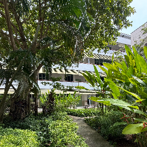 Soaked in greenery