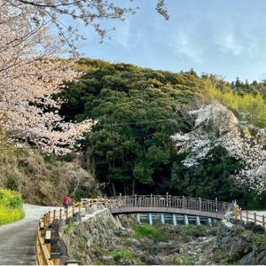 BLESSED BEYOND MEASURE