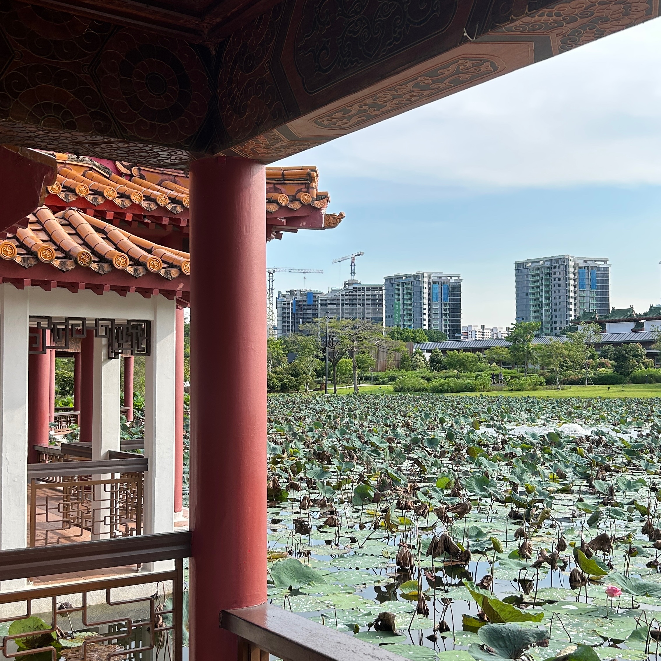 Jurong Lake Gardens