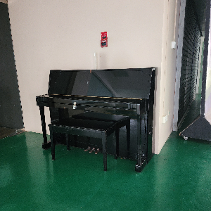 To Grow With A Piano