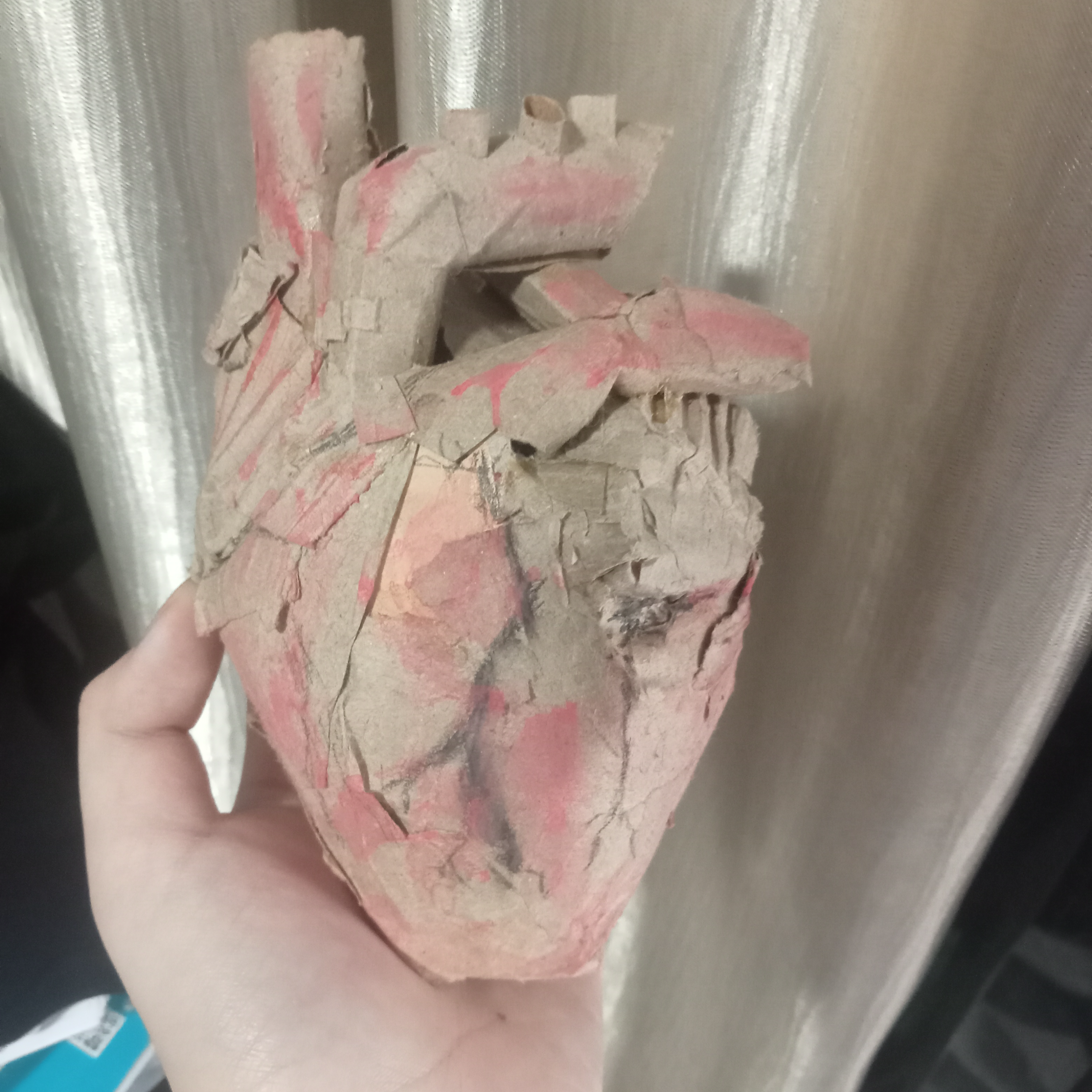Heart