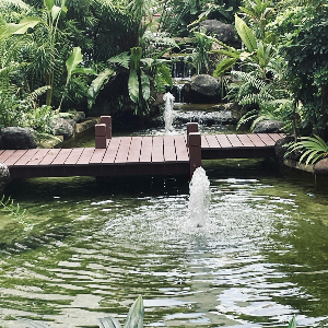 Chill And Thrive Like Nature