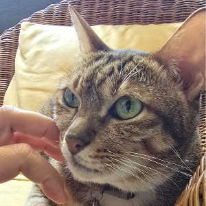 Quiet moments with my Fur-Friend