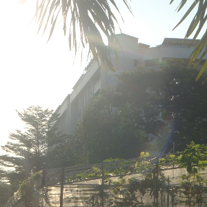 sun