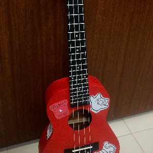 A Paint of Red, A Song of Joy