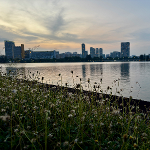 Serene View from Tanjong Rhu Promenade Park
