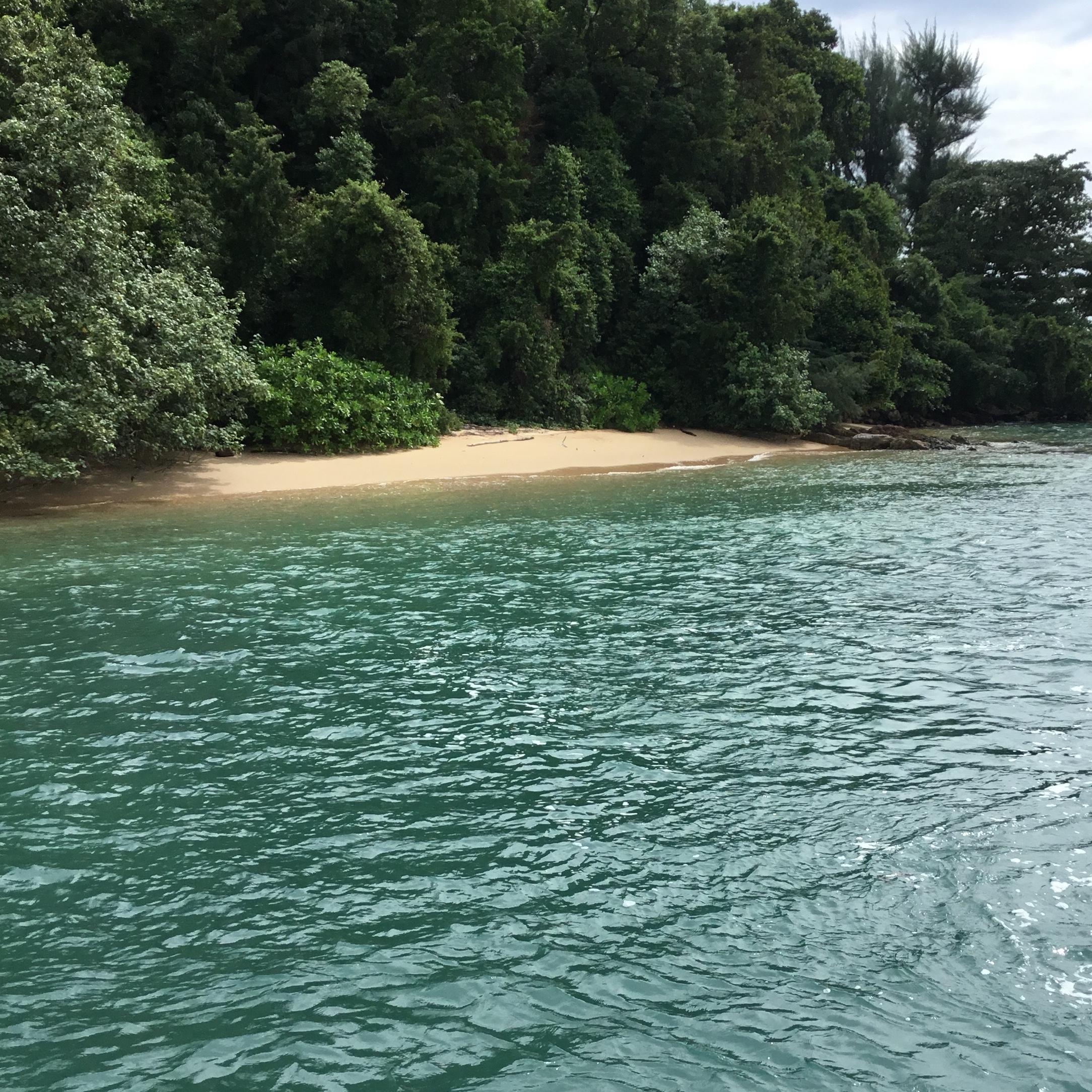 Sailing and island hopping