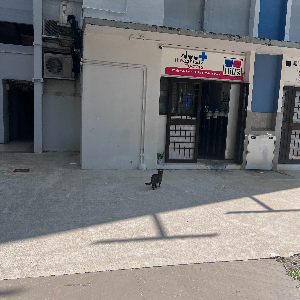 An unexpected meet