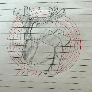 Our Heart