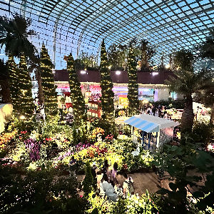 A chill in Gardens by the Bay