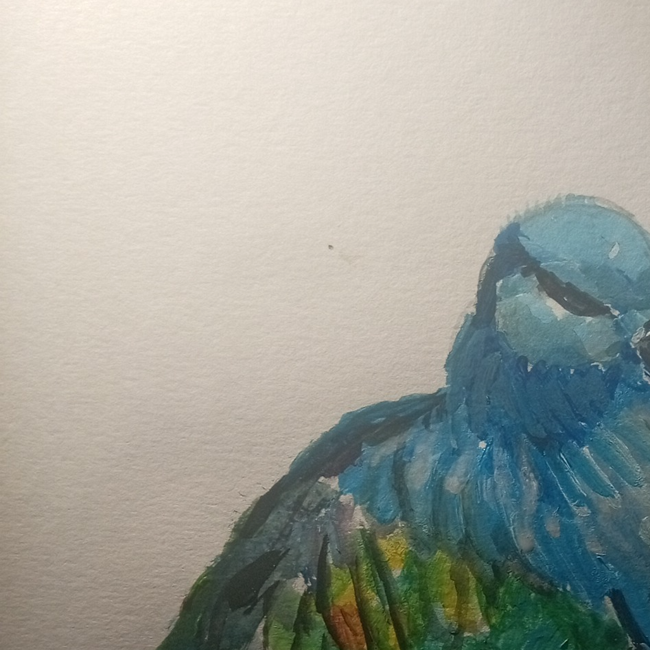 Painting of a nicobar pigeon