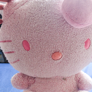 my kitty mao plushie