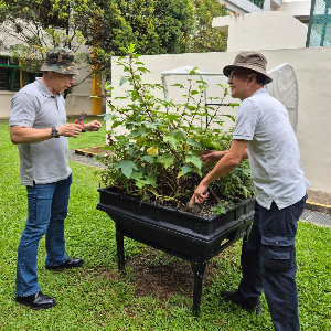 Harvesting Happiness