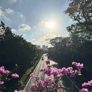 Essence of a New Day