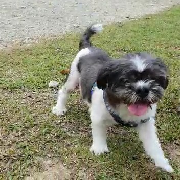 Dou Nai 🌈